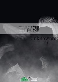 重置键