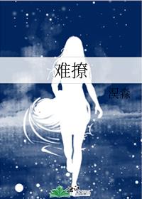 难撩