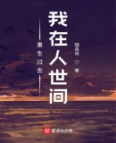 重生过去我在人世间免费阅读