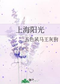 上海阳光