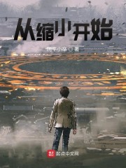 从缩小开始 小说