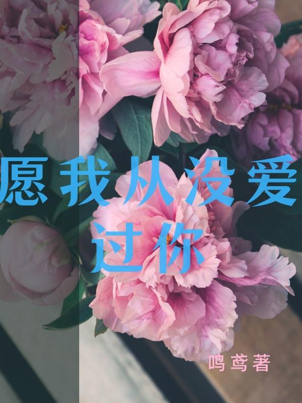 愿我从没爱过你