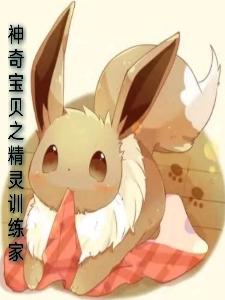 神奇宝贝之普通训练家
