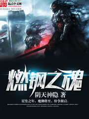 燃钢之魂小说