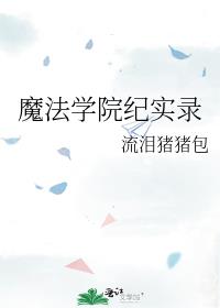 魔法学院录II:时光之冕