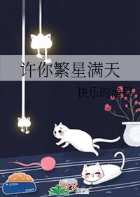 赠你今夜繁星满天小说