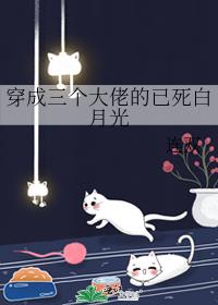 穿成三个大佬的白月光txt下载