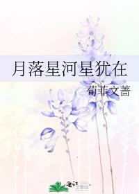 月落星河星犹在点击