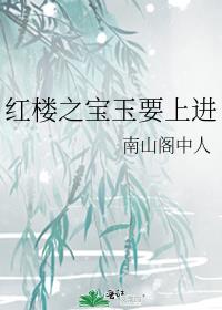 红楼之宝玉要上进 完结