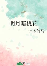 桃花明月什么意思