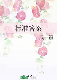 标准答案