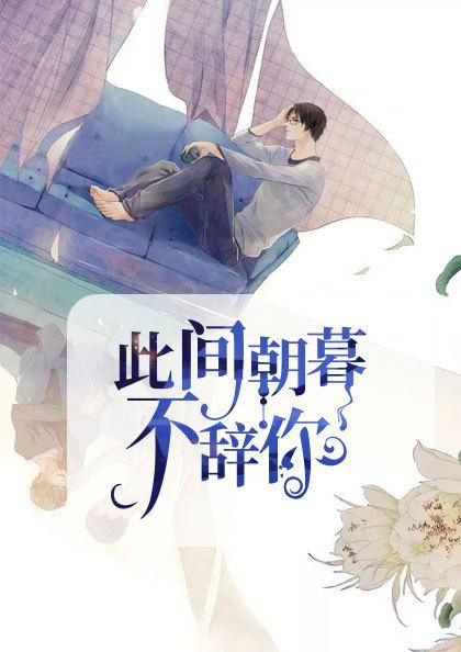 宋辞霍慕沉小说叫什么
