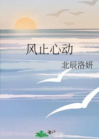 风止心动