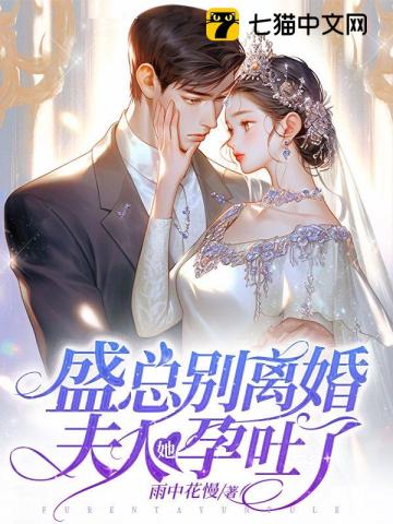 盛总别离婚，夫人她孕吐了