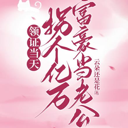 领证当天拐个亿万富豪当老公