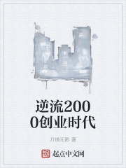 逆流2000创业时代 小说