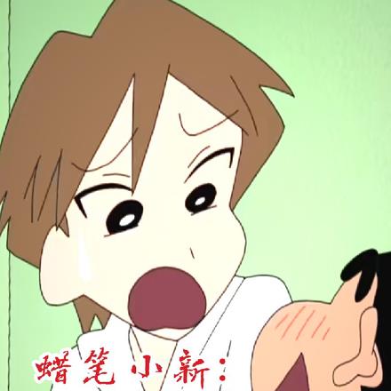 蜡笔小新：野原兄弟哦