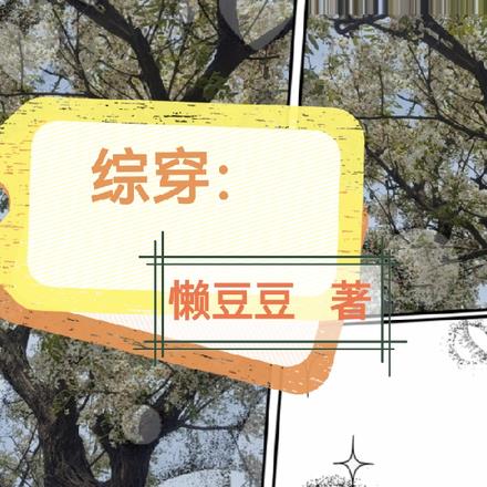 综穿: