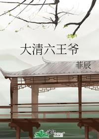 大清六王爷百度云