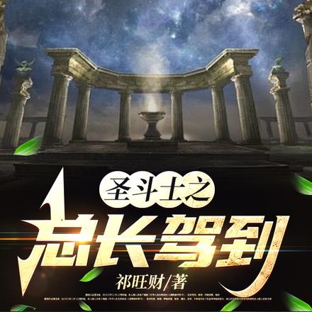 圣斗士之总长驾到