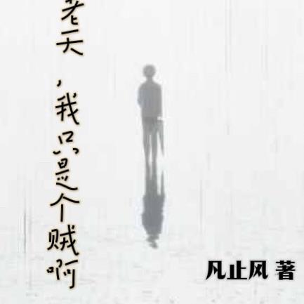 老天，我只是个贼啊