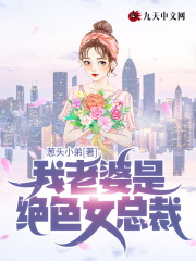 苏晨周晚秋