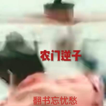 农门逆子