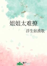 姐姐太难撩