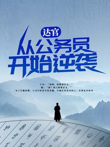 达官:从公务员开始逆袭
