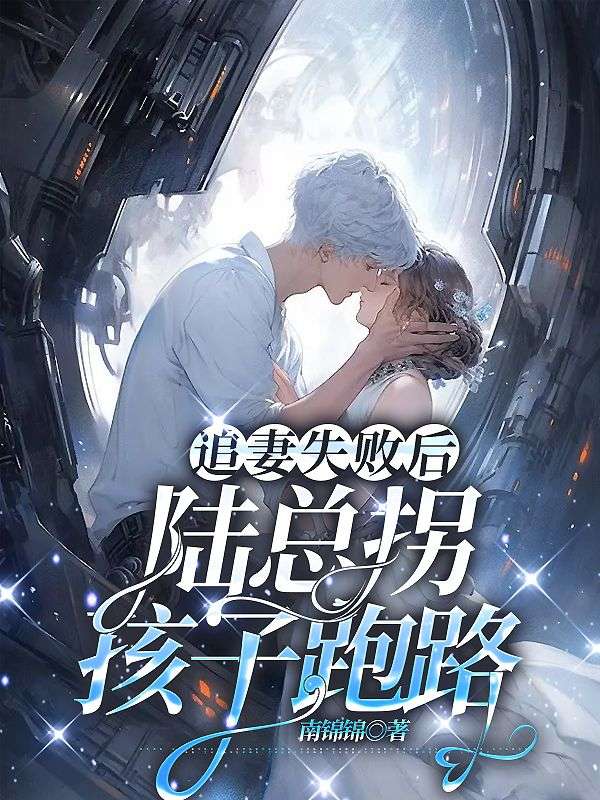 追妻失败后,陆总拐孩子跑路