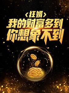 狂婿:我的财富多到你想象不到