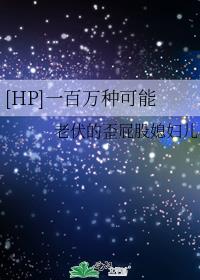 [HP]一百万种可能