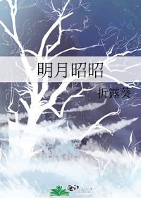 明月昭昭