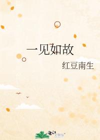 一见如故