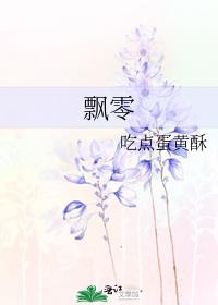 飘零燕电视剧全集在线观看