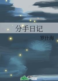 分手日记