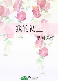 我的初三生活小标题