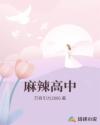 麻辣高中物理