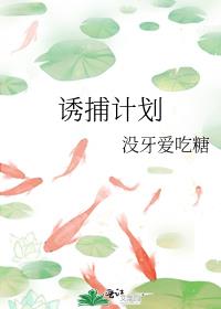 诱捕计划