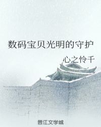 数码宝贝之光明的守护2