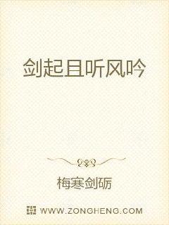 剑起且听风吟纵横