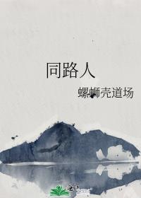 同路人