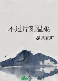 不过片刻温柔